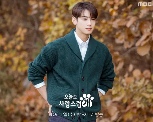 ชาอึนอู (Cha Eun Woo)